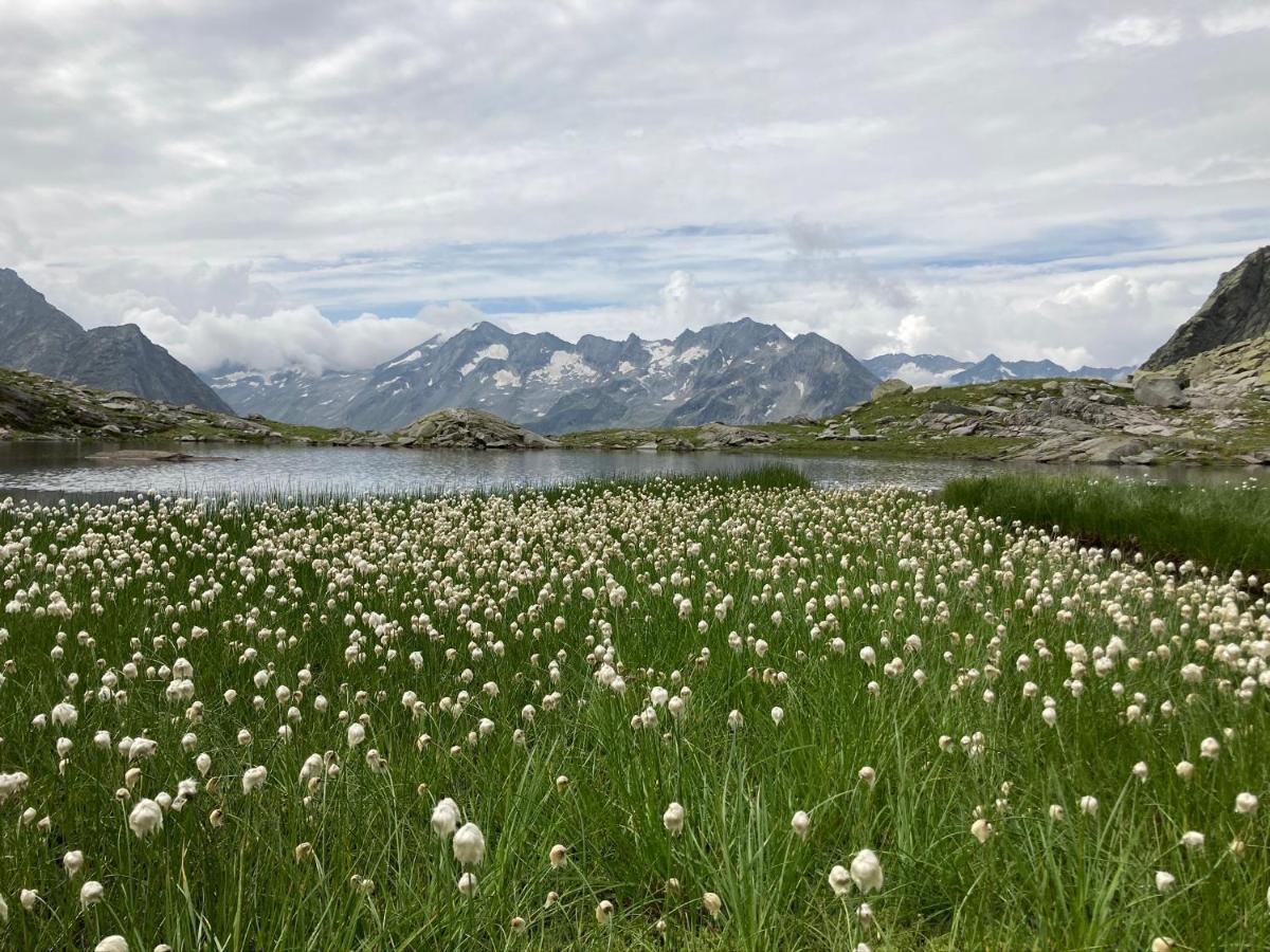 Appartement Thurnbach Aschau Im Zillertal Dış mekan fotoğraf